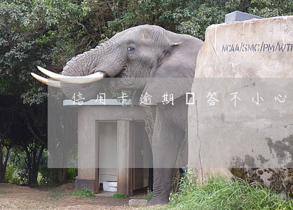 信用卡逾期問答(不小心信用卡逾期)