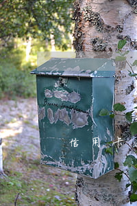 信用卡逾期問螞蟻莊園