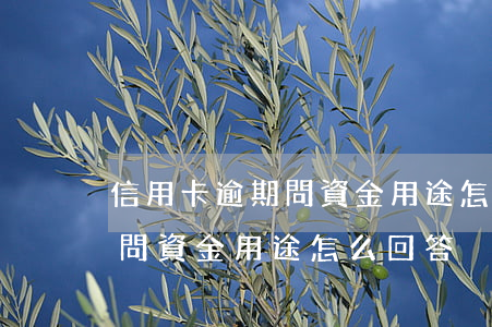 信用卡逾期問資金用途怎么回答(信用卡逾期問資金用途怎么回答)