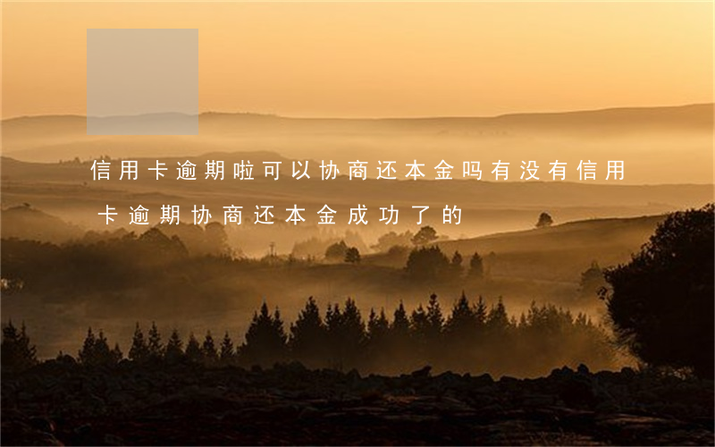信用卡逾期啦可以协商还本金吗(有没有信用卡逾期协商还本金成功了的)