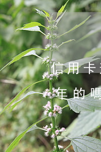 信用卡逾期啦幾天影響大嗎(有信用卡逾期幾年的嗎)