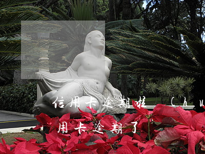 信用卡逾期啦會(huì)怎么樣(什么叫信用卡逾期了)