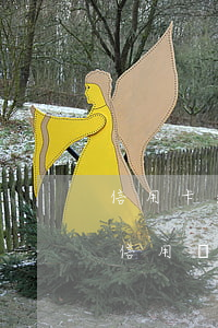 信用卡逾期啦有什么影響(信用卡逾期會影響信用嗎)
