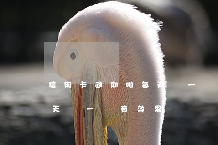 信用卡逾期啦每天還一點可以嗎-逾期后每天還一點有效果嗎
