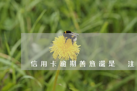 信用卡逾期善意還是 沒注意信用卡逾期了
