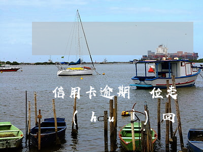 信用卡逾期單位走訪(辦信用卡工作單位電話會(huì)回訪嗎)