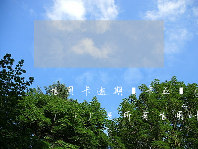 信用卡逾期單卡五萬(wàn)還是累計(jì)(是所有信用卡逾期5萬(wàn)以上還是單獨(dú))