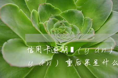 信用卡逾期嚴(yán)重 信用卡逾期嚴(yán)重后果是什么