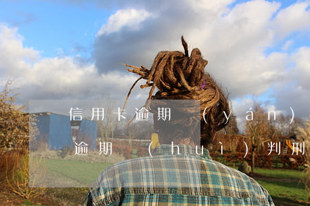 信用卡逾期嚴(yán)重判刑多久(信用卡逾期會(huì)判刑坐牢嗎)