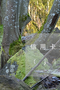 信用卡逾期嚴(yán)重危害(信用卡 曾經(jīng)有逾期 影響)