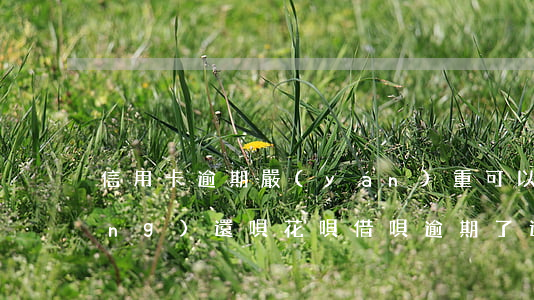 信用卡逾期嚴(yán)重可以申請(qǐng)還唄(花唄借唄逾期了還能申請(qǐng)信用卡嗎)