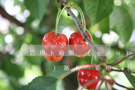 信用卡逾期嚴(yán)重可以辦理儲(chǔ)蓄卡嗎(逾期過(guò)可以辦理信用卡)