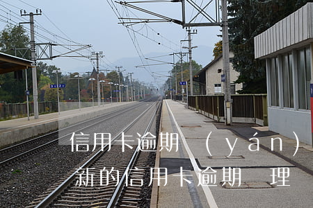 信用卡逾期嚴(yán)重后果是什么樣(最新的信用卡逾期處理)