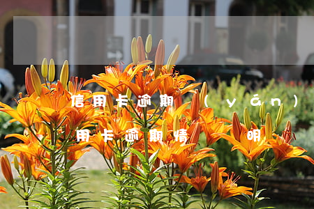 信用卡逾期嚴(yán)重征信顯示什么(信用卡逾期情況說明)