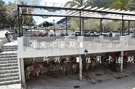 信用卡逾期嚴(yán)重律師事務(wù)所找上門(信用卡逾期嚴(yán)重律師事務(wù)所找上門)