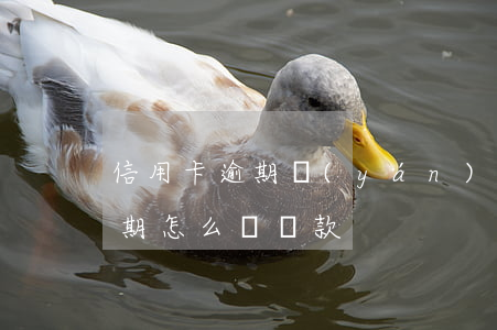 信用卡逾期嚴(yán)重怎貸款(信用卡逾期怎么辦貸款)