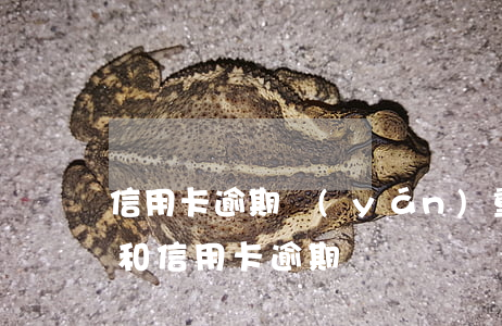信用卡逾期嚴(yán)重怎貸款(貸款逾期和信用卡逾期)