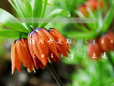 信用卡逾期嚴(yán)重會(huì)網(wǎng)上通緝嗎(欠信用卡會(huì)不會(huì)被通緝)