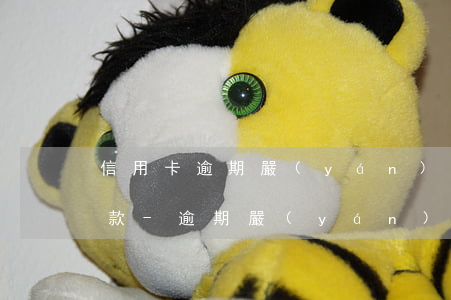 信用卡逾期嚴(yán)重為什么還能貸到款-逾期嚴(yán)重的信用卡還款還能用嗎