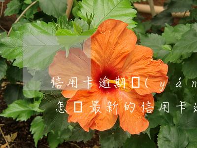 信用卡逾期嚴(yán)重的會(huì)怎樣 最新的信用卡逾期處理
