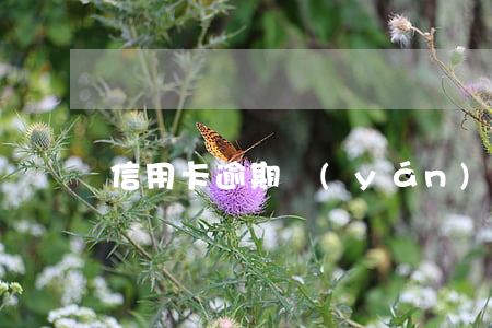 信用卡逾期嚴(yán)重的案例