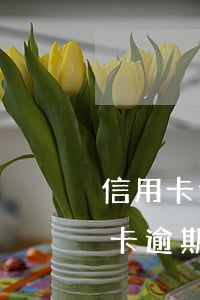 信用卡逾期嚴(yán)重能下車貸嗎(車貸卡逾期了會(huì)怎么樣)