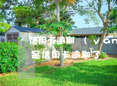 信用卡逾期嚴(yán)重車貸批不了(車貸是信用卡逾期了)