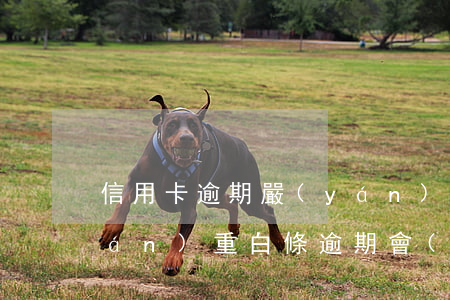 信用卡逾期嚴(yán)重還是白條嚴(yán)重(白條逾期會(huì)影響信用卡額度嗎)