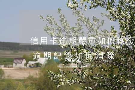 信用卡逾期嚴重如何恢復征信(征信中信用卡逾期記錄如何消除)