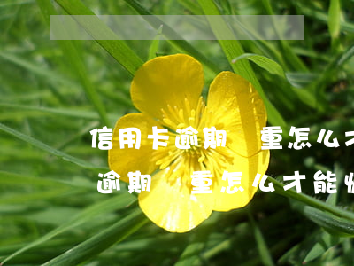 信用卡逾期嚴重怎么才能恢復征信-信用卡逾期嚴重怎么才能恢復征信記錄