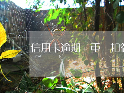 信用卡逾期嚴重會扣微信的錢嗎