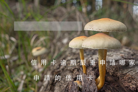 信用卡逾期嚴重申請哪家信用卡(逾期也可以申請的信用卡)