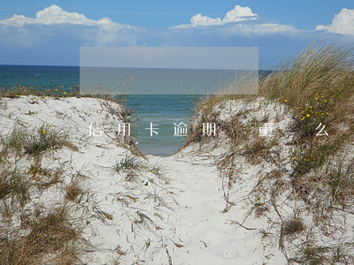 信用卡逾期嚴重這么辦（信用卡逾期嚴重這么辦）