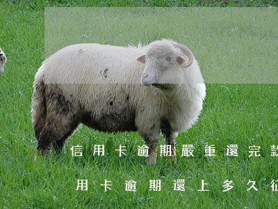 信用卡逾期嚴重還完款多久征信會好-把信用卡逾期還上多久征信會消除