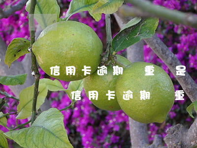 信用卡逾期嚴重還是網(wǎng)貸嚴重嗎（信用卡逾期嚴重還是網(wǎng)貸嚴重）