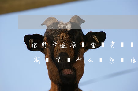 信用卡逾期嚴重還有機會嗎(以前用信用卡逾期過了為什么還能辦信用卡)