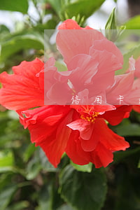 信用卡逾期四个多月欠三千