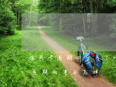 信用卡逾期四个月了什么后果6(信用卡4千逾期两年会怎样)