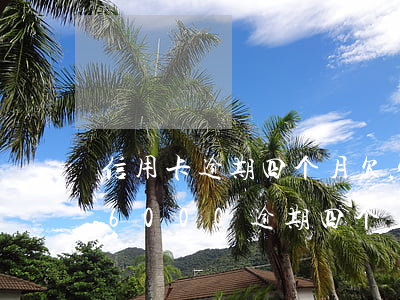 信用卡逾期四个月欠六千会坐牢吗-信用卡6000逾期四个月