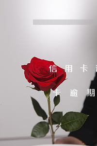 信用卡逾期四个月解冻成功会降额吗-信用卡逾期四个月解冻成功会降额吗安全吗