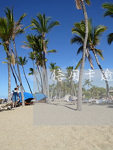 信用卡逾期四五千怎么辦(信用卡逾期五萬)