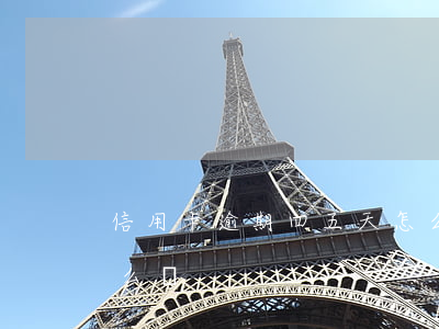 信用卡逾期四五天怎么辦(信用卡逾期5天怎么辦)