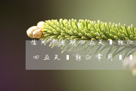 信用卡逾期四五天還能正常用嗎(信用卡逾期四五天還能正常用嗎嗎)