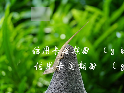 信用卡逾期四個(gè)多月70000-信用卡逾期四個(gè)多月70000怎么辦