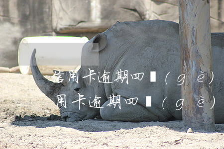 信用卡逾期四個(gè)小時(shí)(信用卡逾期四個(gè)小時(shí))