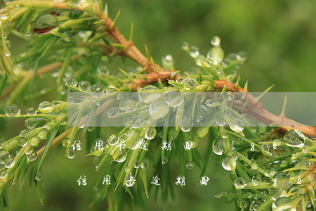 信用卡逾期四個(gè)月上門了怎么辦-信用卡逾期四個(gè)月上門了怎么辦呢