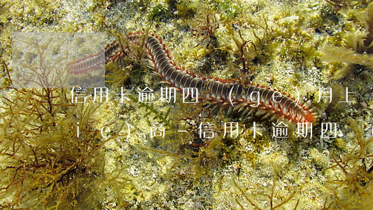信用卡逾期四個(gè)月上門如何協(xié)商-信用卡逾期四個(gè)月上門如何協(xié)商還款