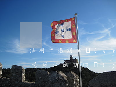 信用卡逾期四個(gè)月了，我該怎么辦-信用卡逾期四個(gè)月了,我該怎么辦呢