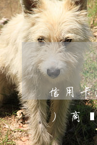 信用卡逾期四個(gè)月了能協(xié)商還款嗎-信用卡逾期四個(gè)月了能協(xié)商還款嗎怎么辦
