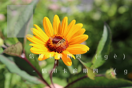信用卡逾期四個(gè)月可以解凍成功嗎-信用卡逾期四個(gè)月可以解凍成功嗎安全嗎